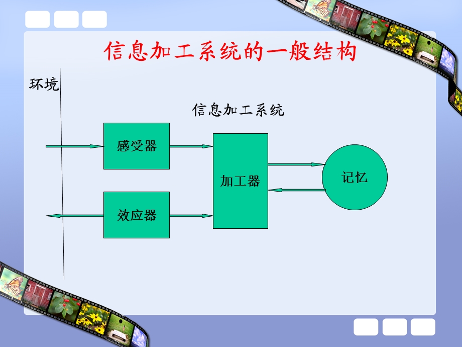 普通心理学(,4,感觉)699906031.ppt_第3页