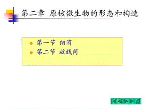 【教学课件】第二章原核微生物的形态和构造.ppt