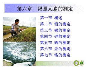 《限量元素的测定》PPT课件.ppt