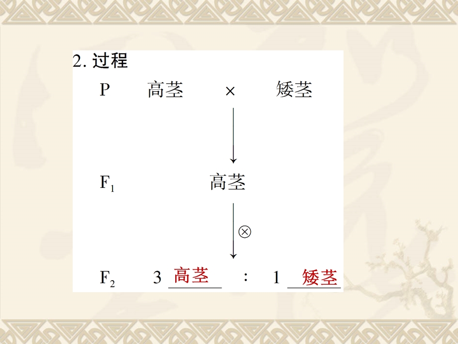 第节孟德尔的豌豆杂交实验一.ppt_第2页