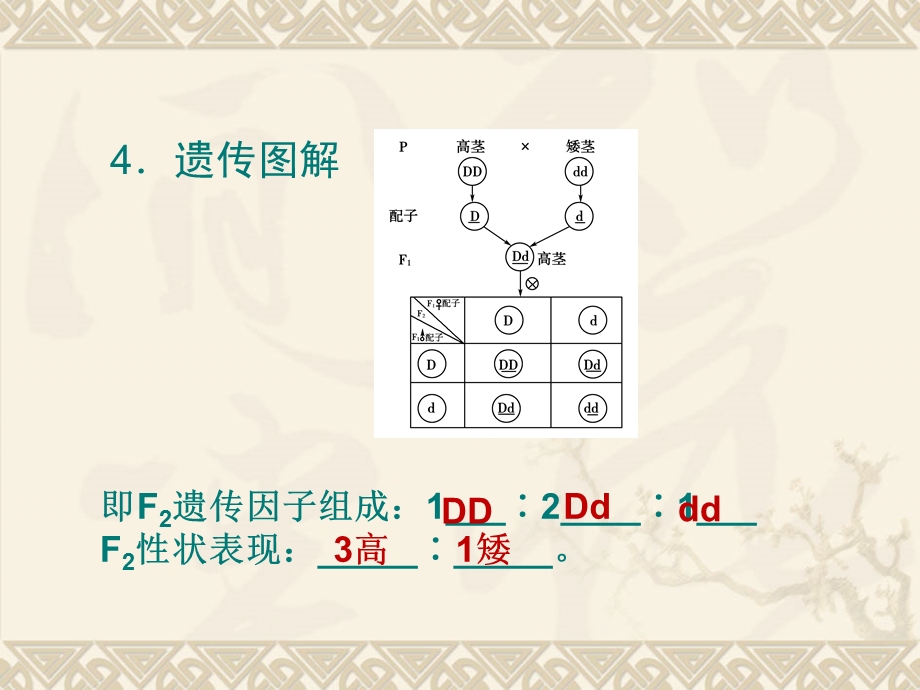 第节孟德尔的豌豆杂交实验一.ppt_第3页