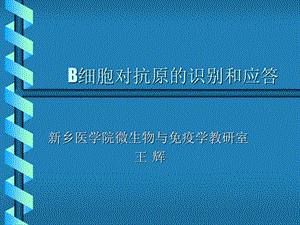 【教学课件】第十六章B淋巴细胞对抗原的识别及应答.ppt