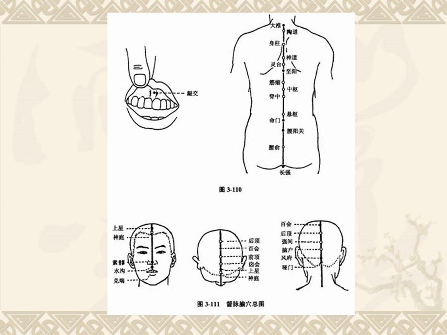 经络腧穴各论任督脉经外奇穴ppt课件.ppt_第3页
