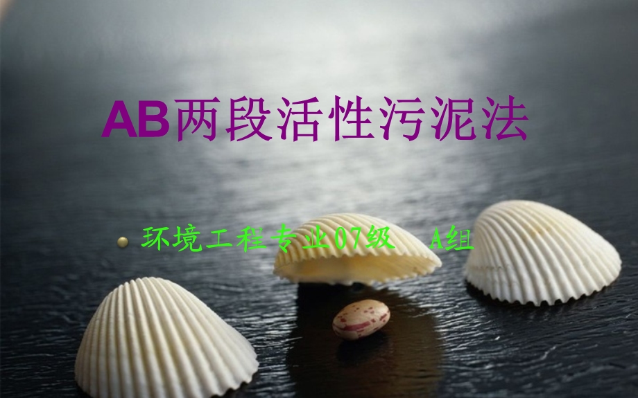 AB两段活性污泥法.ppt_第1页