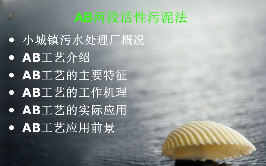 AB两段活性污泥法.ppt_第2页