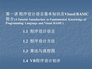 995第一讲 程序设计语言基本知识及Visual BASIC 简介.ppt