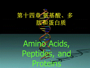 c 14 氨基酸、多肽与蛋白质.ppt