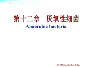 第12章 厌氧性细菌.ppt