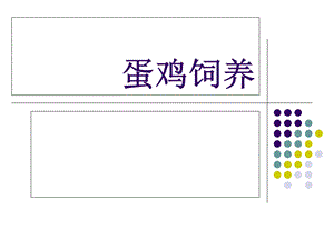 《蛋鸡饲养》PPT课件.ppt