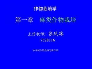 《麻类复习资料》PPT课件.ppt