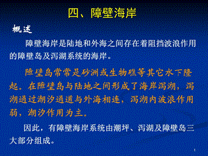 《障壁岛泻湖》PPT课件.ppt