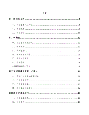 厦门注塑模具项目可行性研究报告.docx