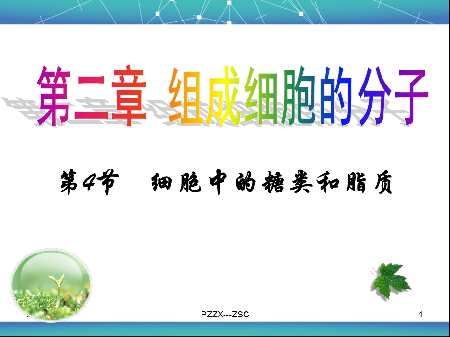 第四节细胞中的糖类和脂质ZSC.ppt_第1页