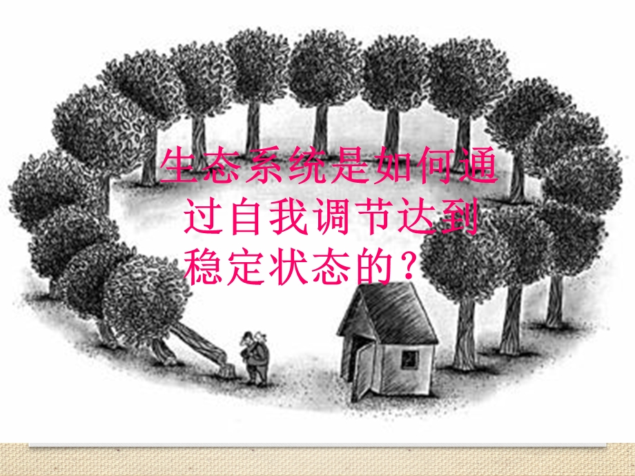 《生态系统的稳定性》课件.ppt_第3页