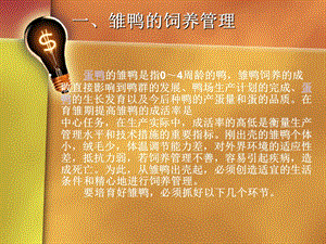 《蛋鸭的养殖技术》PPT课件.ppt