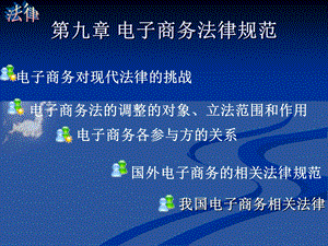 【教学课件】第九章电子商务法律规范.ppt