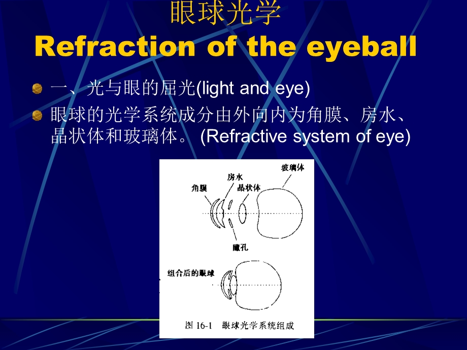 《眼视光学》PPT课件.ppt_第2页