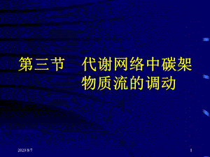 【教学课件】第三节代谢网络中碳架物质流的调动.ppt