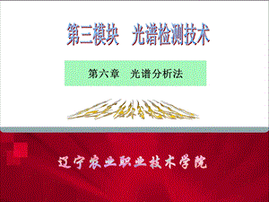 【教学课件】第六章光谱分析法.ppt