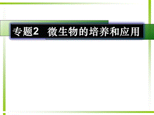 课题2土壤中分解尿素的细菌的分离与计数ppt课件.ppt