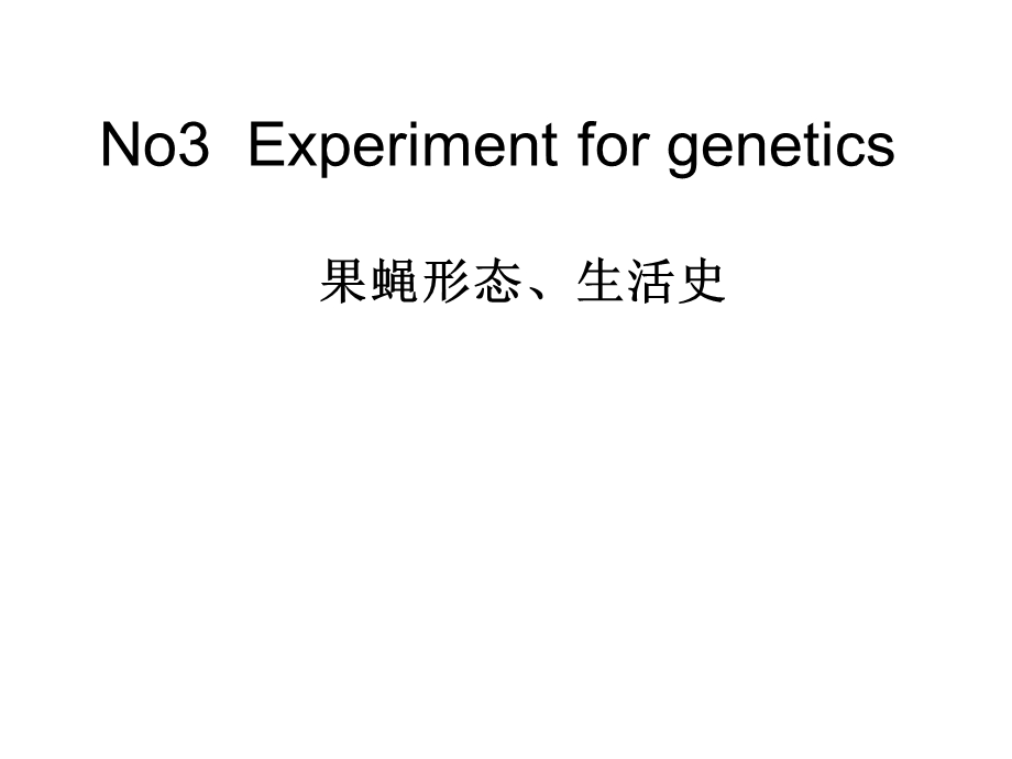 《果蝇形态生活史》PPT课件.ppt_第1页