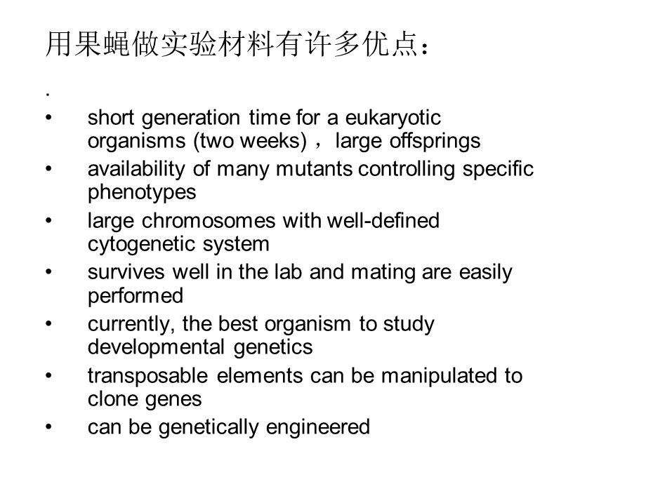 《果蝇形态生活史》PPT课件.ppt_第3页