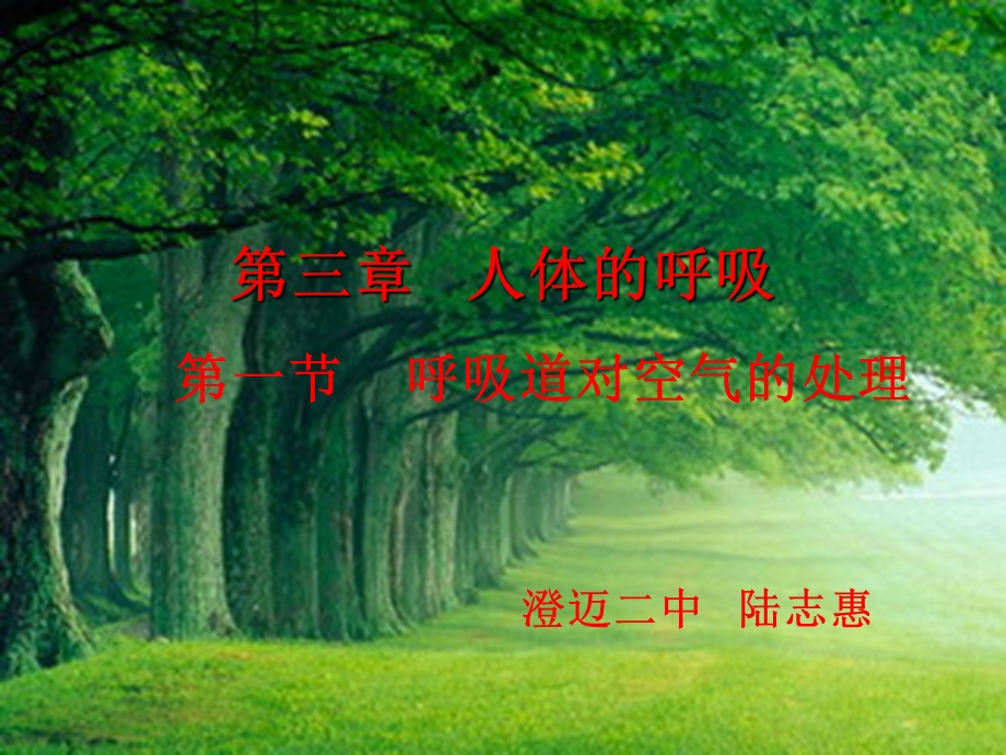 第三章人体的呼吸.ppt_第2页