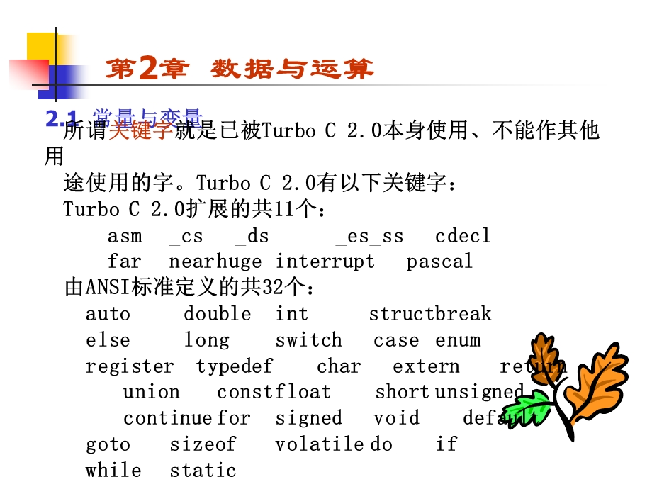 第二章数据与运算.ppt_第3页