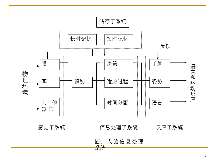 第三章人的信息处理系统.ppt_第2页