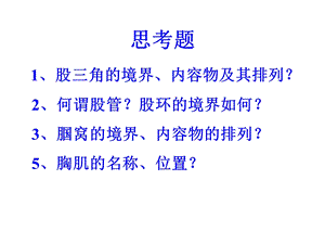 《胸浅上肢局解》PPT课件.ppt