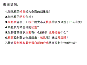 《跨膜运输实例》PPT课件.ppt