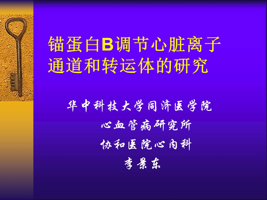 锚蛋白B调部分心脏离子通道和转运体的研究.ppt_第1页