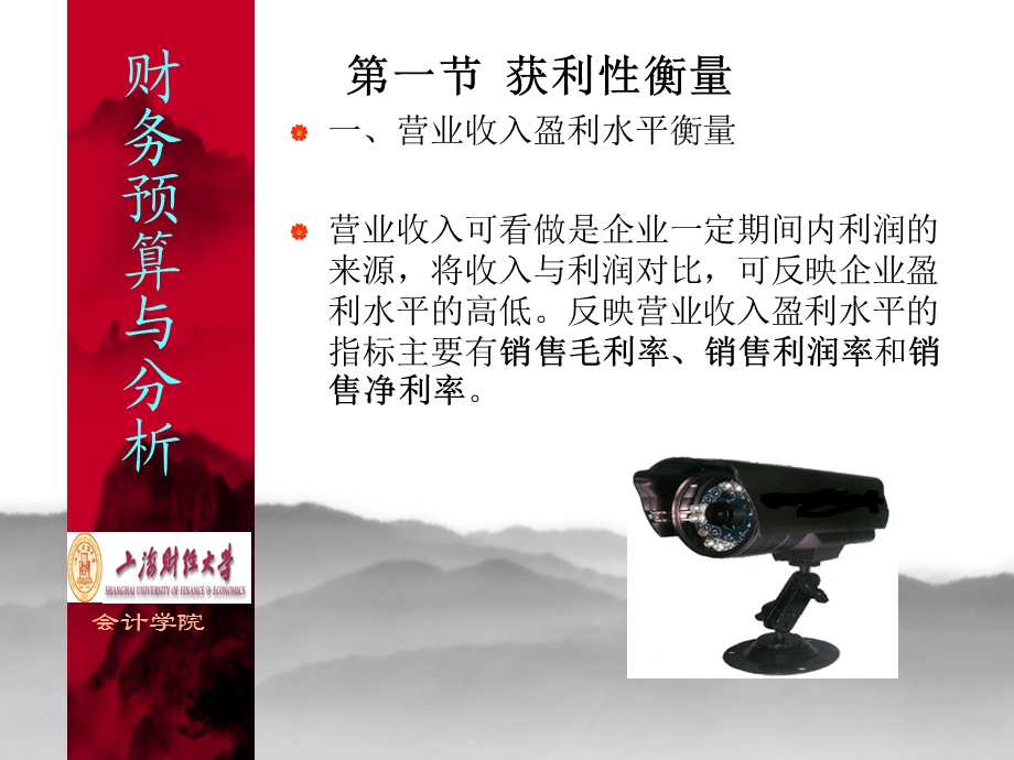 《获利性分析》PPT课件.ppt_第3页