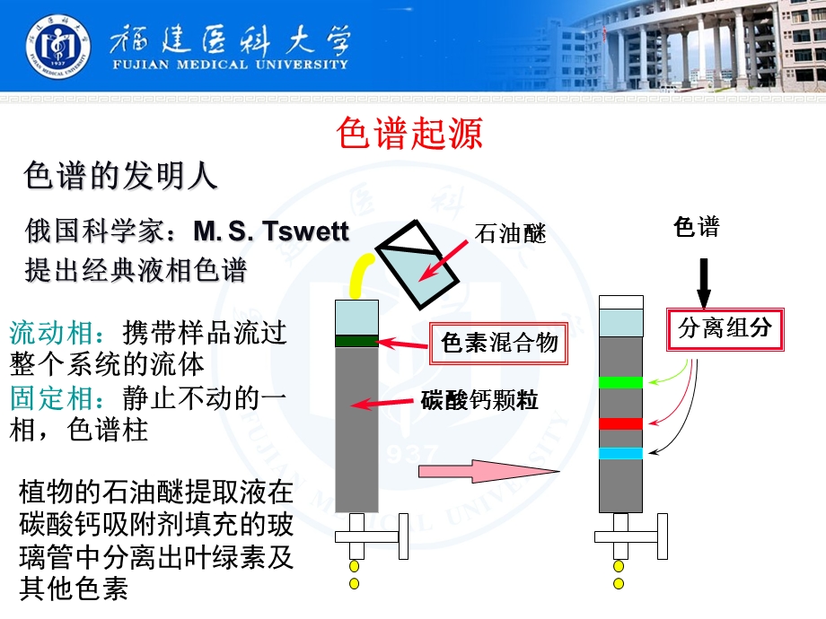 氯霉素眼药水的高效液相色谱分析PHP.ppt_第3页