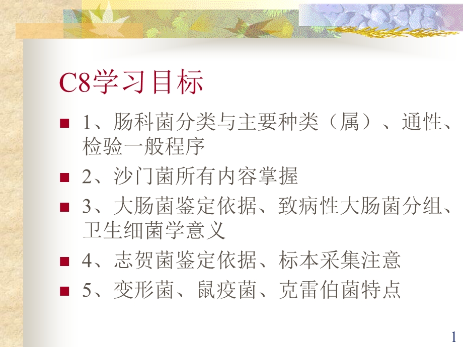 C8肠杆菌.ppt_第1页