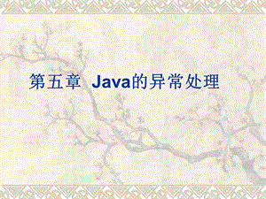 第五章Java的异常处理.ppt