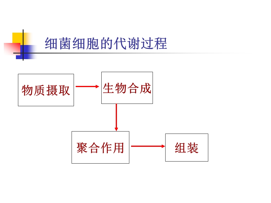 第一节细菌细胞的代谢过程第二节细菌的生长繁殖第三节细.ppt_第3页