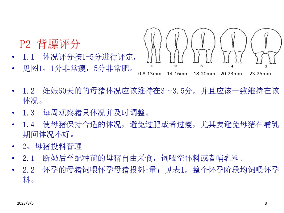 《背膘检测与控制》PPT课件.ppt_第3页