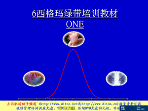 西格玛绿带培训教材1.ppt