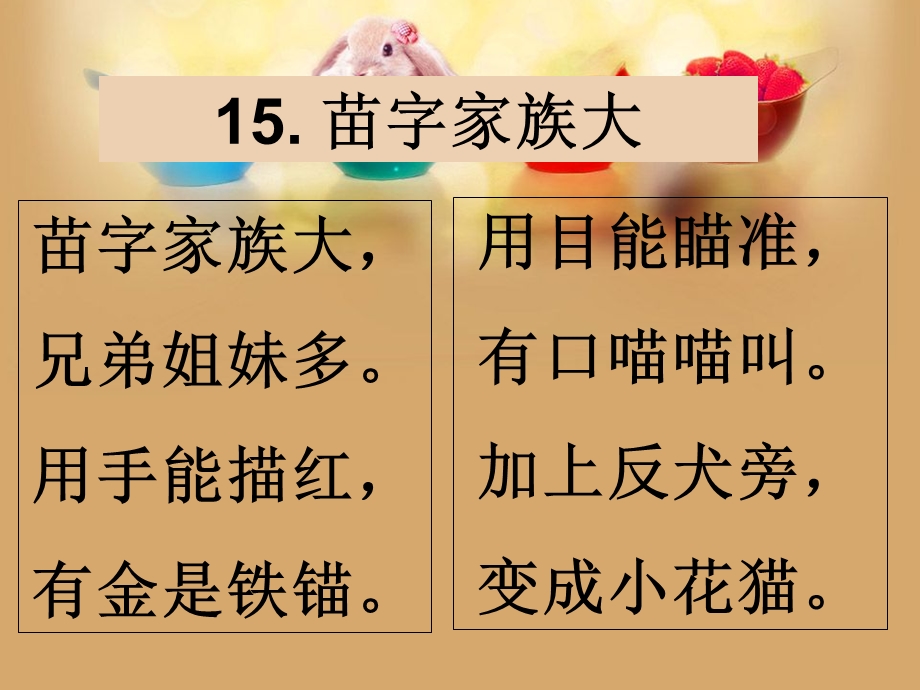 《苗字家族大》PPT课件.ppt_第3页