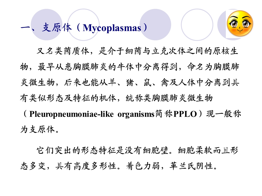 【教学课件】第四节支原体、立克次氏体、衣原体.ppt_第3页