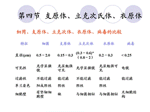 【教学课件】第四节支原体、立克次氏体、衣原体.ppt