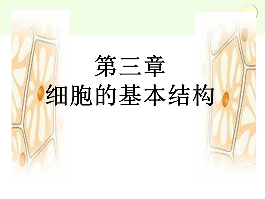 三细胞膜系统的边界.ppt_第1页