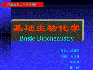 【教学课件】第一章核酸化学.ppt