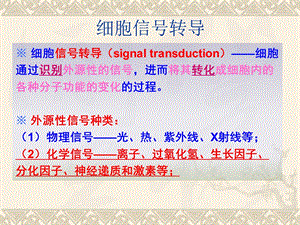 《生命中的化学》PPT课件.ppt