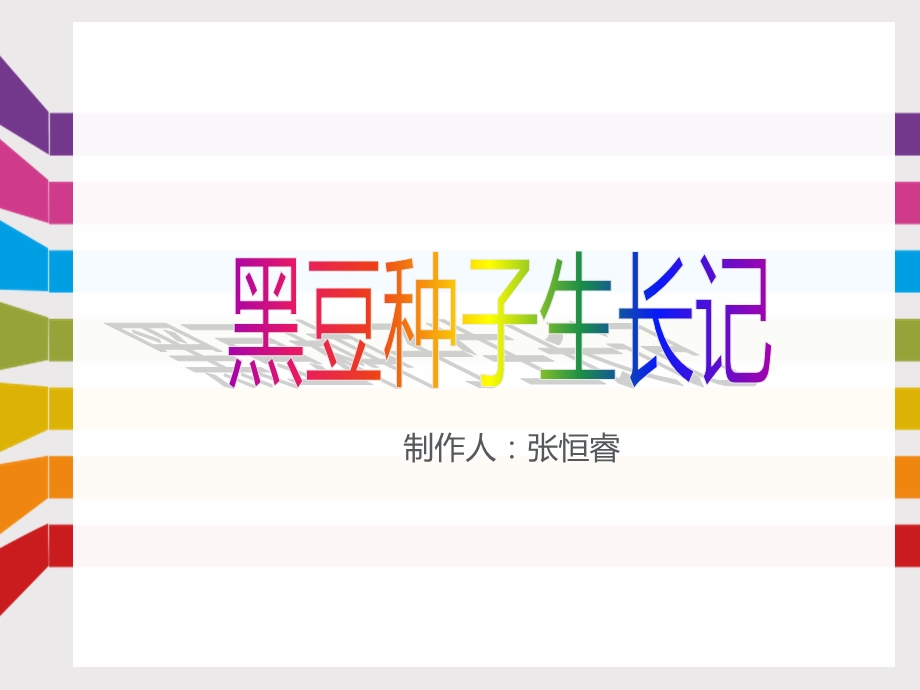 《黑豆种子生长记》PPT课件.ppt_第1页