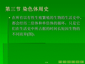 【教学课件】第三节染色体周史.ppt