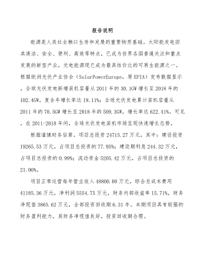 厦门光伏焊带项目可行性研究报告.docx