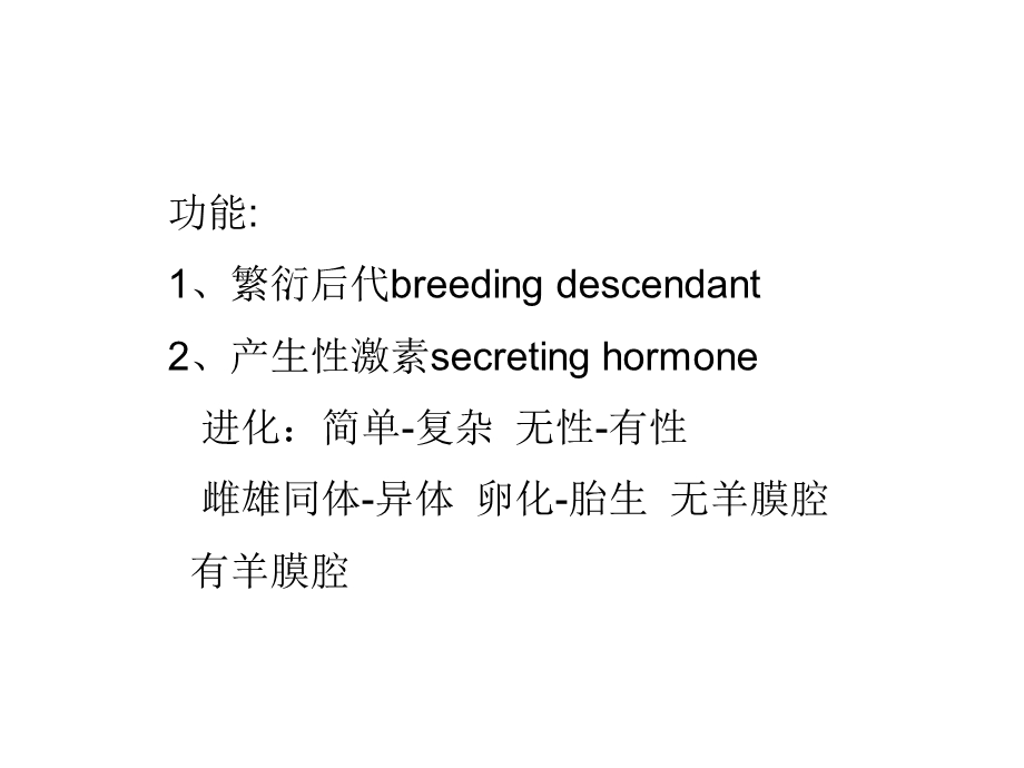 南京大学医学院系统解剖学课件生殖系统.ppt_第3页