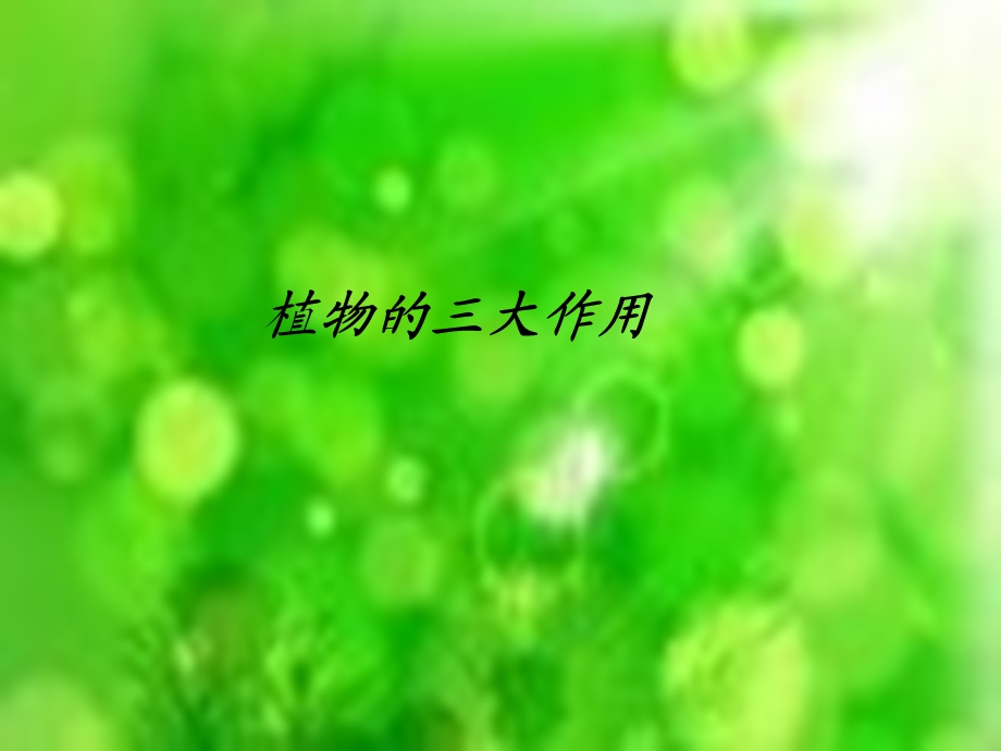 《植物的三大作用(复习)》.ppt_第1页